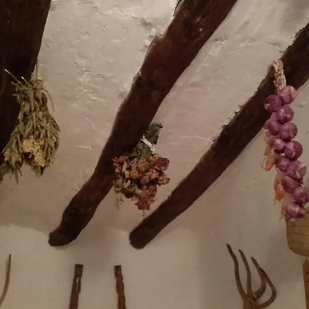 Casa Elina Lucena 度假居 Lucena del Cid